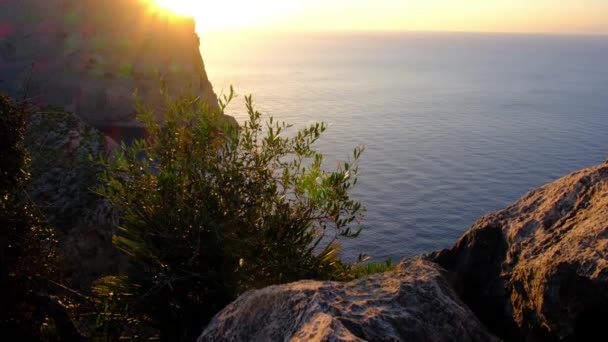 Tilt Reveal Shot Rugged Mediterranean Coast Mallorca Sunset Copy Space — Stock Video