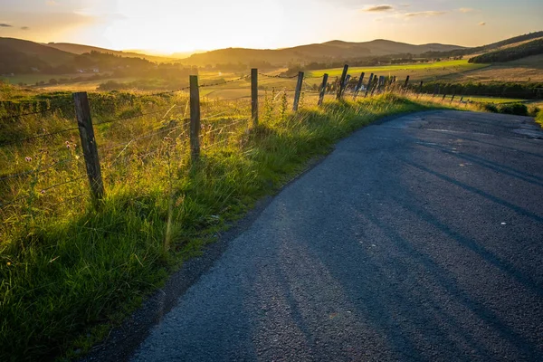 Una Strada Campagna Nei Bellissimi Confini Scozzesi Durante Tramonto Estivo Foto Stock Royalty Free