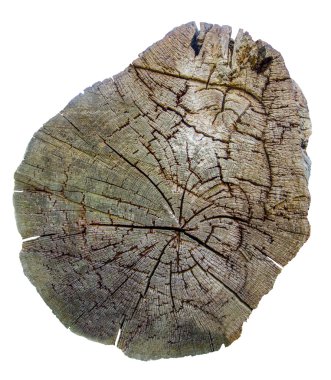 izole ağaç kütüğü