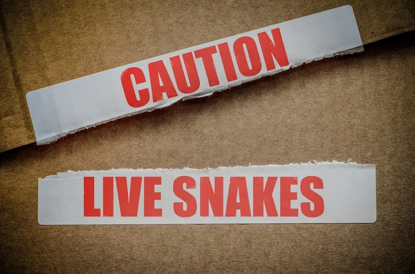 Let op levende slangen — Stockfoto