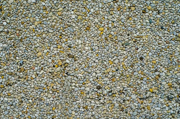 Pebble Dash texture backgound — Photo