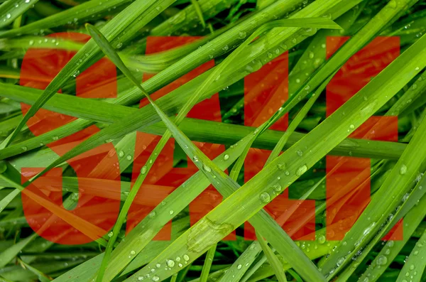 Grünes Gras Frühling Verkauf Design — Stockfoto