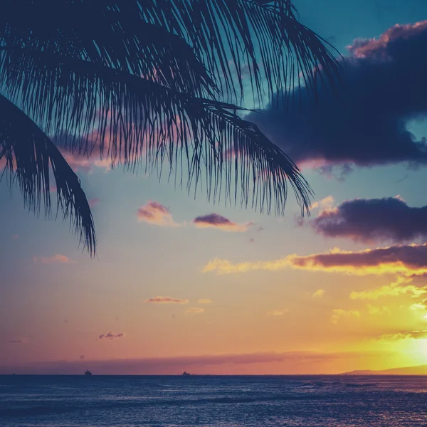 Tropical Sunset — Stock Photo, Image