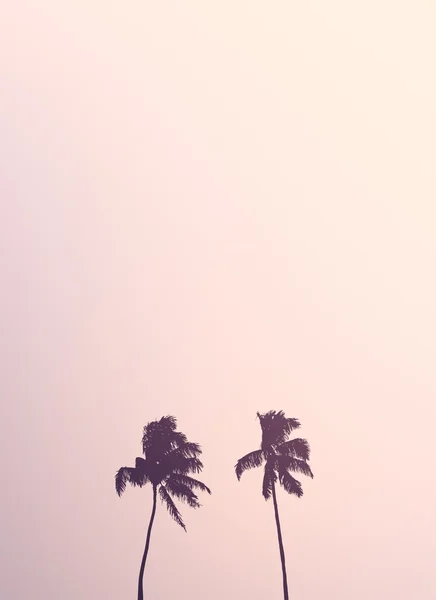 Twin Retro Palm Tree Silhouette — Foto Stock