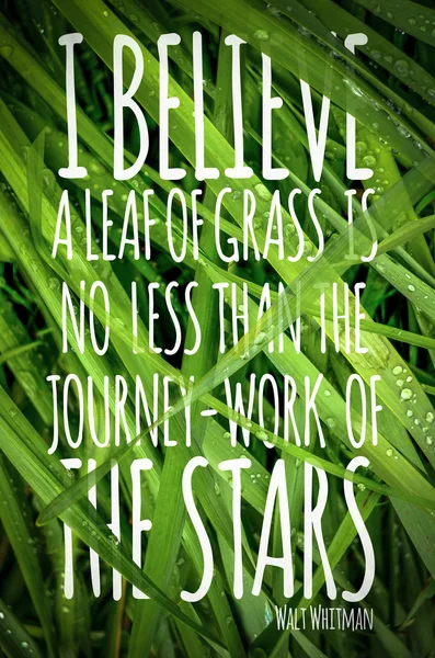 Walt Whitman Quote Poster With Grass — Stock Photo, Image