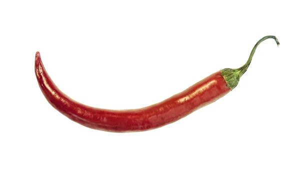 Red Chili Pepper Isolated On White — Stock Photo, Image