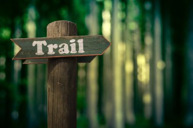 Forest Trail Sign clipart