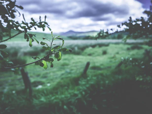 Cena rural com céu tempestuoso — Fotografia de Stock