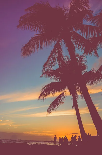 Fiesta de playa retro bajo palmeras — Foto de Stock