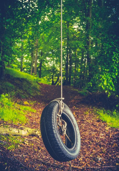 Retro Forest Tyre Swing — Stock Photo, Image