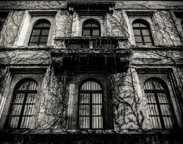 Spooky House With Dead Vines — Stock Photo, Image