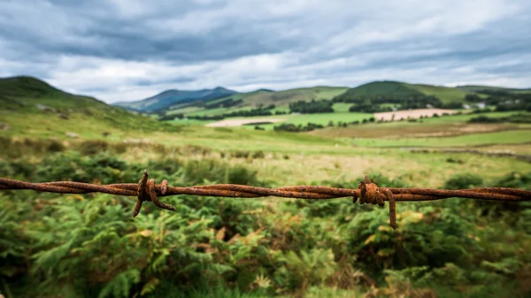 Scenic Lanscape With Barbwire — Stock Photo, Image