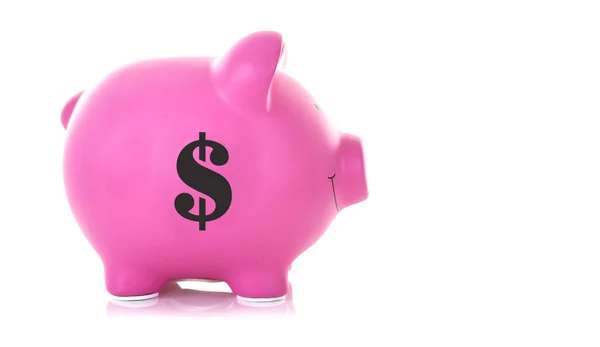 Pink Piggy Bank z symbolem dolara — Zdjęcie stockowe