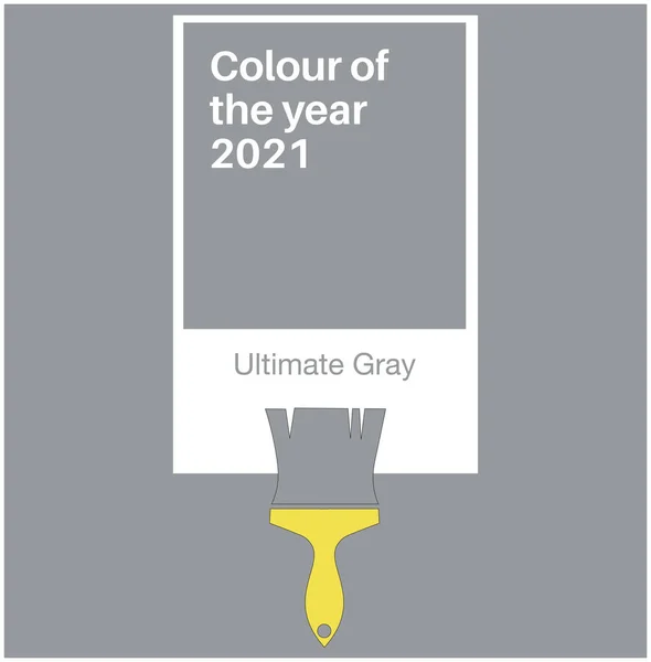 Ultieme Grijze Trendy Kleur Van Het Jaar 2021 Kleurenkaart Met — Stockvector