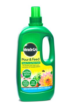 SwINDON, İngiltere - 26 Nisan 2021: Beyaz arka planda Mucize Gro Dökme ve Besleme Bitkisi Gıda Şişe