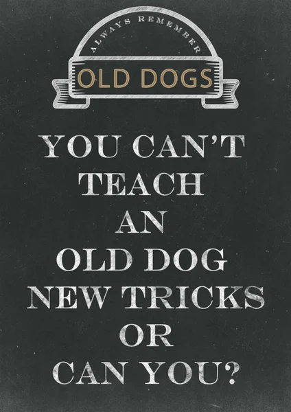 Bir Chalkbo bir eski köpek yeni hileler el yazılı öğretemem — Stok fotoğraf