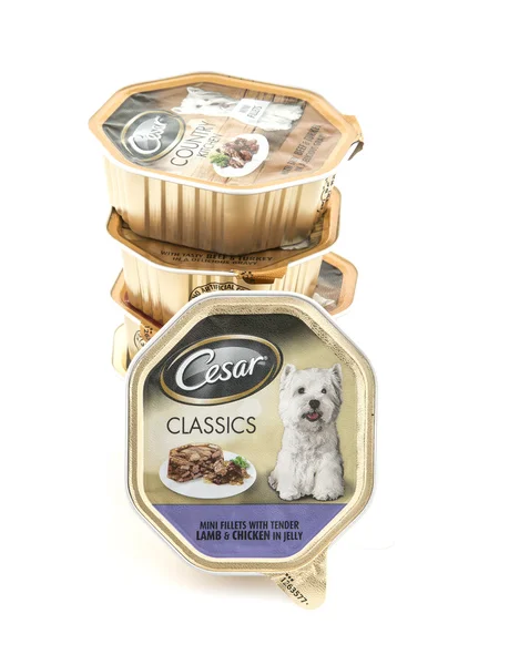 Cesar Classics Hund Foo — Stockfoto