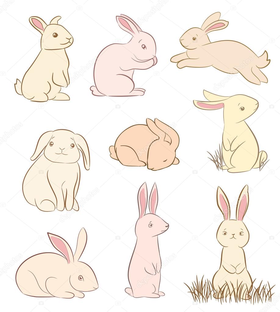 set of cute rabbit drawings on white. vector