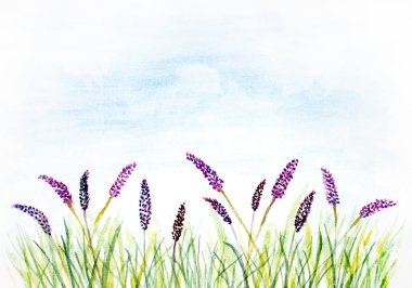 çim ve mor çiçekler ile suluboya arka plan