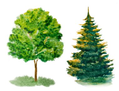 suluboya ağaçları beyaz izole kümesi