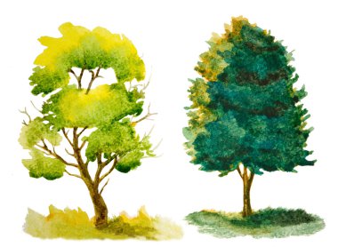 suluboya ağaçları beyaz izole kümesi