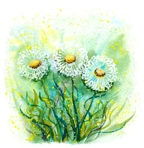 Aquarel, abstract paardebloemen illustratie met de hand geschilderd bl — Stockfoto