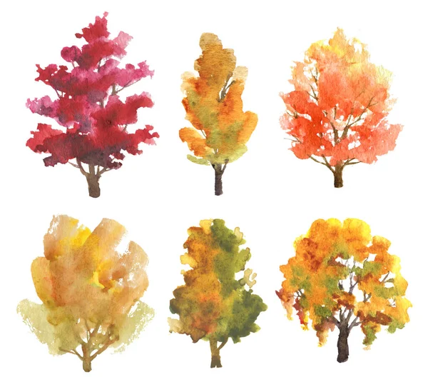 Zestaw Ręcznie Rysowane Drzewa Akwarelowe Jesiennych Kolorów Izolowanych Białym — Zdjęcie stockowe