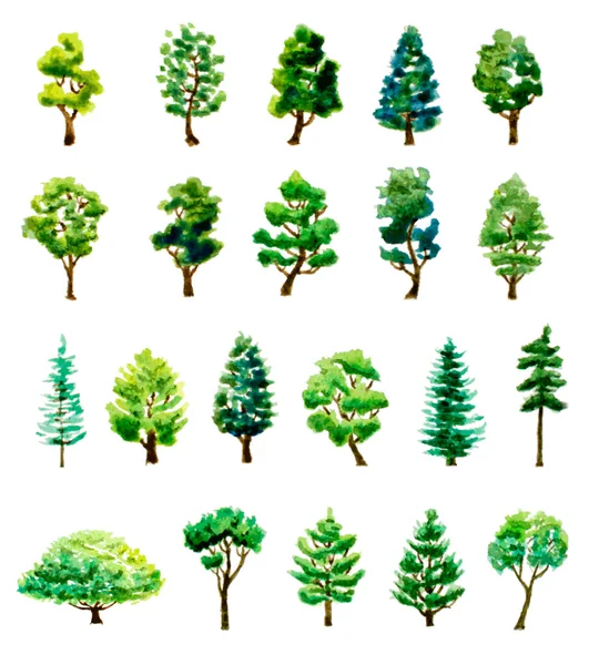 Set van aquarel hand getrokken verschillende bomen. vector illustratio — Stockvector