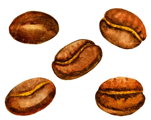Set di chicchi di caffè acquerello. illustrazione vettoriale — Vettoriale Stock