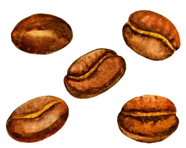 watercolor coffee beans set. vector illustration