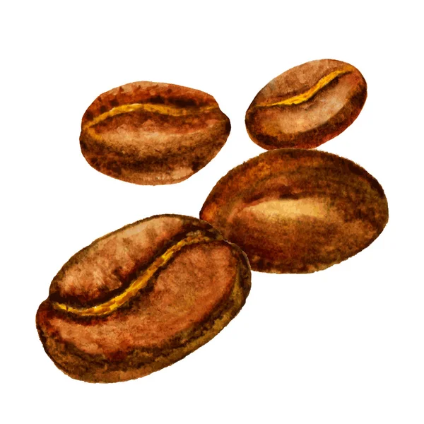 Акварельні кавові зерна. Векторна ілюстрація — стоковий вектор