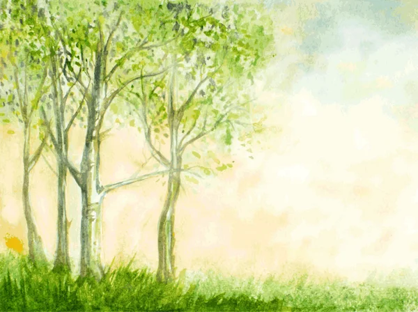 白桦树水彩矢量图。抽象自然回 — 图库矢量图片