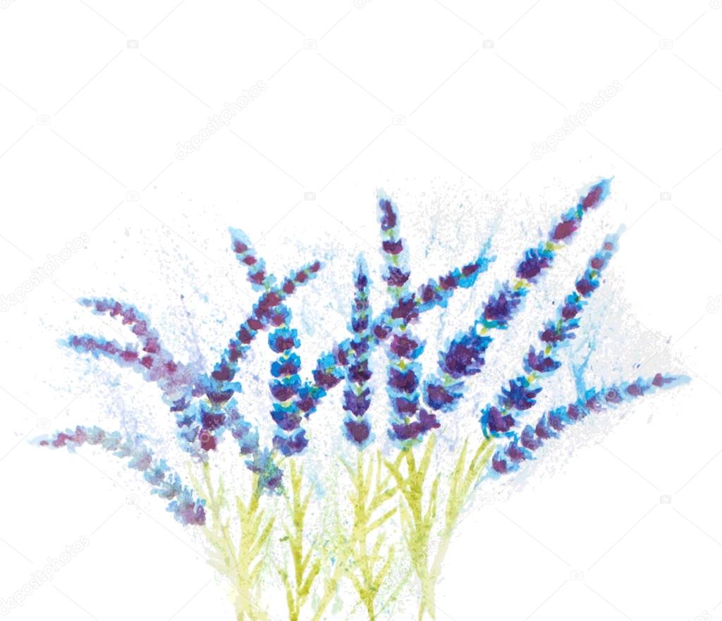 watercolor lavender abstract background. vector illustration