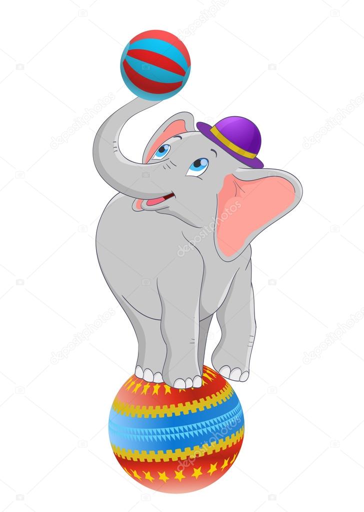 Cartoon baby elephant standing on circus ball. vector Stock Vector Image by  ©flowerstock #83030094