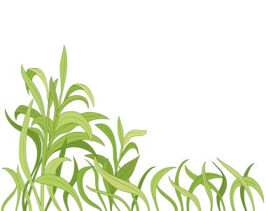 çizgi film çim arka plan. vektör