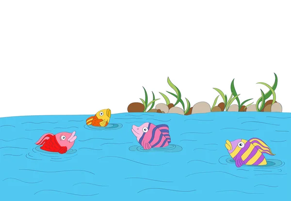 Lindos peces de colores en un lago con piedras, plantas de fondo — Vector de stock