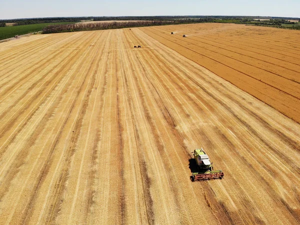 Récolte Blé Dans Les Champs — Photo