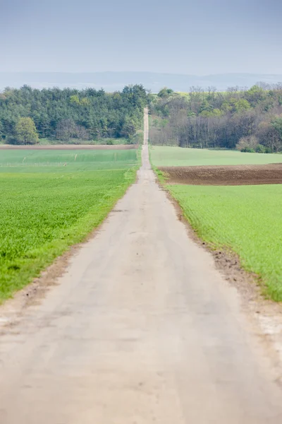 Paisaje primaveral con campos en el sur de Moravia — Foto de Stock