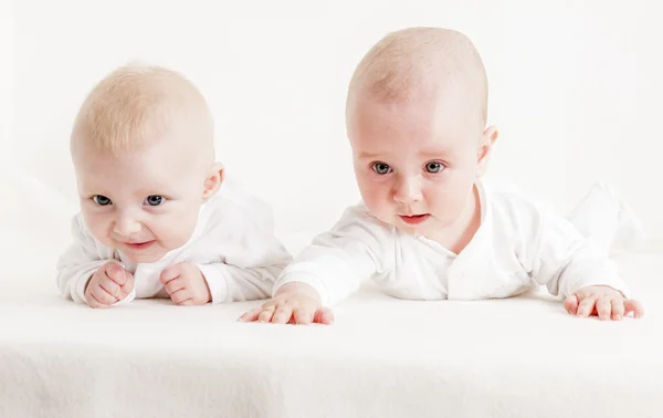 Quatro meses de idade bebês — Fotografia de Stock