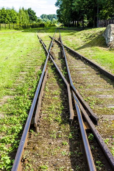 De overschrijding van de normale en smalspoor, Elk — Stockfoto