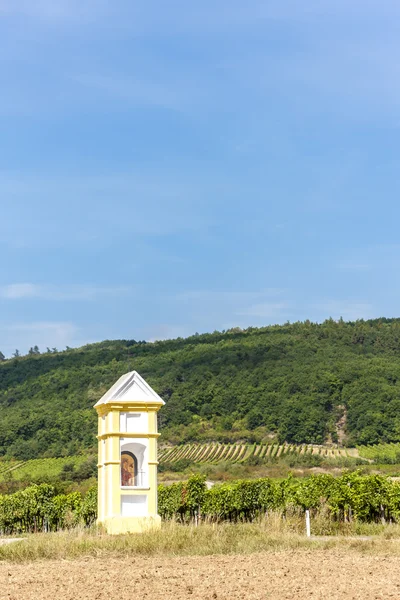 Vägkanten med vingård nära Retz, Fäll ned Österrike — Stockfoto