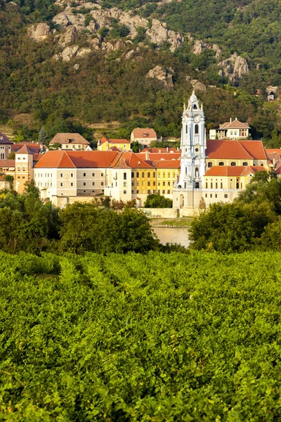 Durnstein a vinice v kraji Wachau, Dolní Rakousko — Stock fotografie