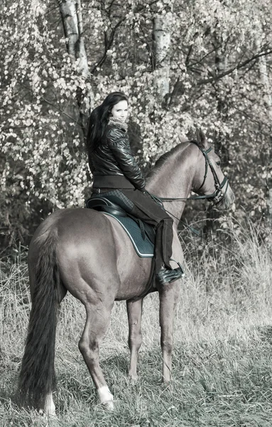 Equestrian on horseback — Stock Photo, Image