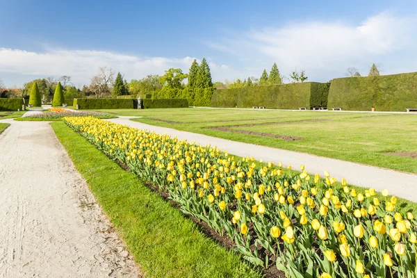 Trädgård i Lednice Palace — Stockfoto