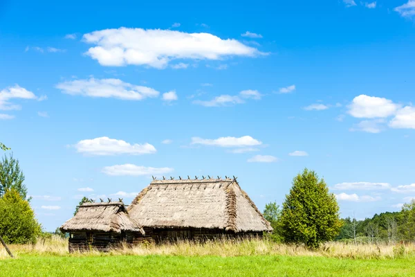 Rus kültürünün Etnografik park — Stok fotoğraf