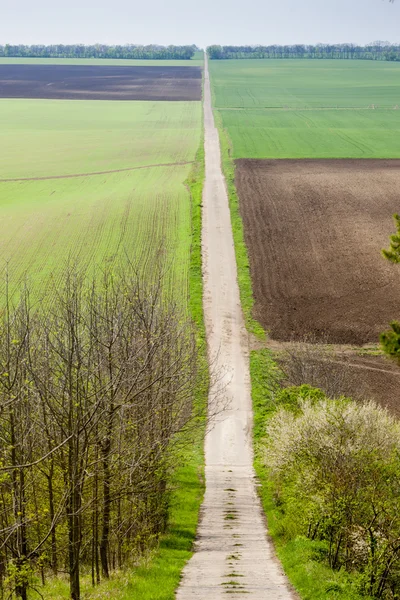 Весняний пейзаж з полями в Південній Моравії — стокове фото