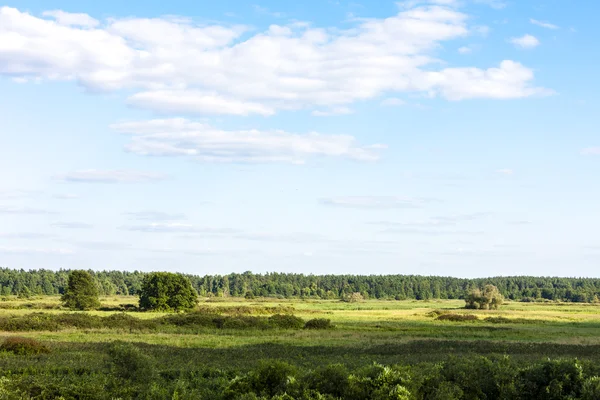 Biebrza National Park, Podlaskie Voivodeship — Stock Photo, Image