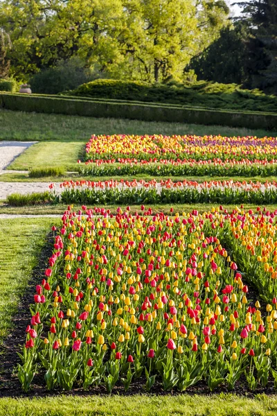 레드 니체 정원 궁전 — 스톡 사진