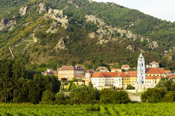 Durnstein en wijngaard in Wachau regio — Stockfoto