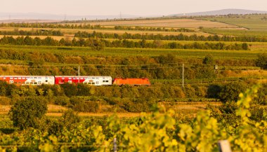 Elektrikli tren yakınındaki Unterretzbach, Lower Austria, Avusturya